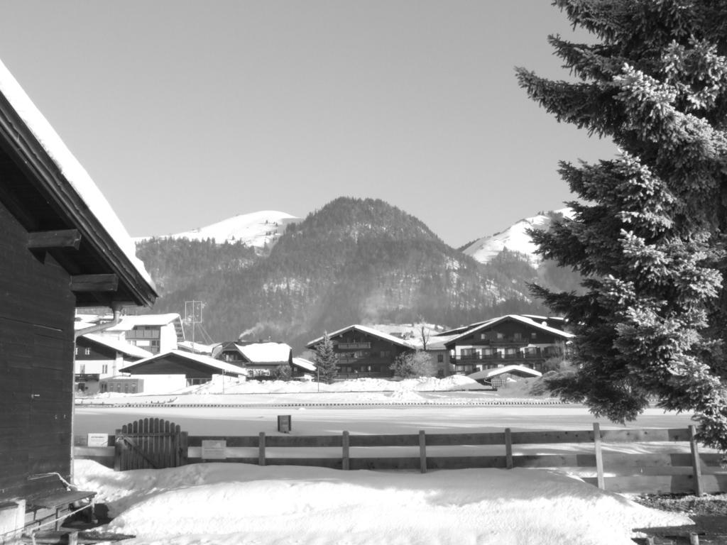 Karrerhof Apartamento Walchsee Exterior foto